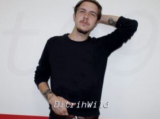 DitrihWild