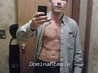 Dominantmale
