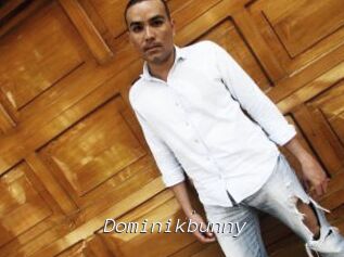 Dominikbunny