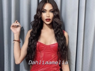 Dahliaamelia