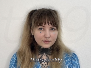 Daisyboddy
