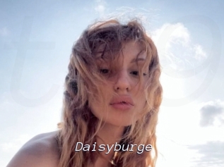 Daisyburge
