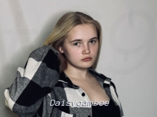 Daisygambee