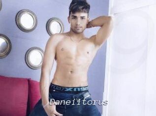 Daneil_torus