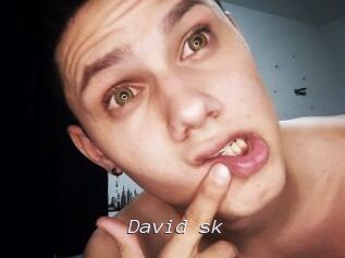 David_sk