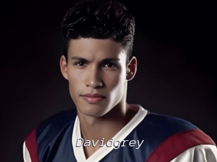 davidgrey Tel 69 Salopes