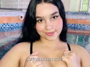 Dayanarabbit