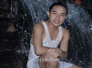 dickcum Tel 69 Salopes