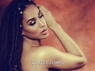 Didiflower