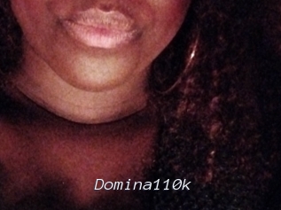Domina110k