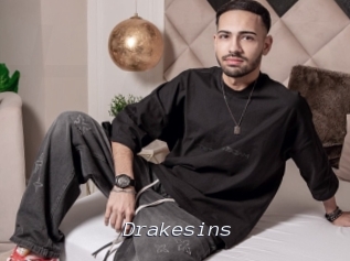 Drakesins