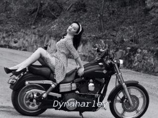 Dynaharley