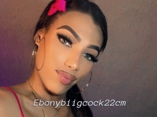 Ebonybiigcock22cm