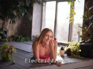 Electricflower