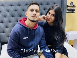 Elektraandmike