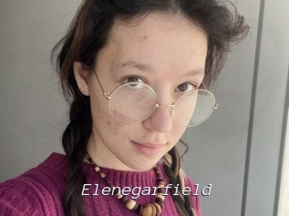 Elenegarfield