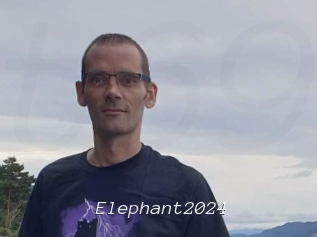 Elephant2024