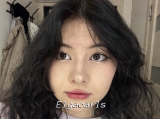 Elgacarls