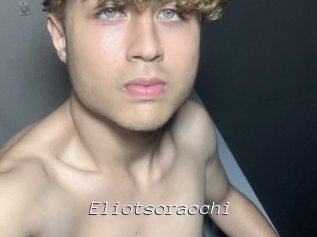 Eliotsoracchi