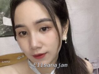 Elisanajam