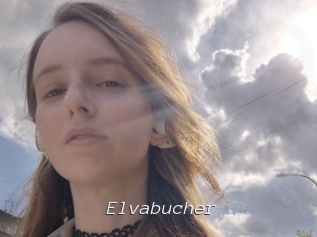 Elvabucher
