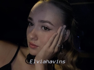 Elviahavins