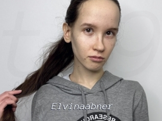 Elvinaabner