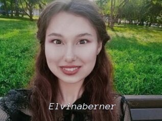 Elvinaberner