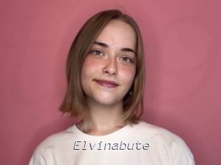 Elvinabute