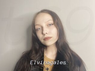 Elvinagales