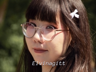 Elvinagitt