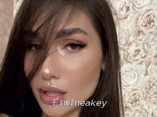 Elwineakey
