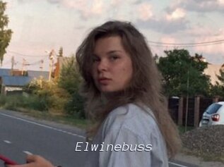 Elwinebuss
