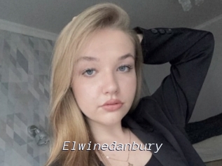Elwinedanbury
