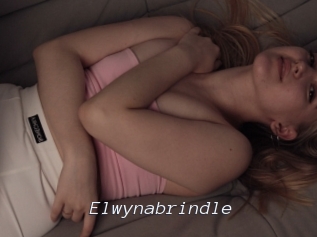 Elwynabrindle
