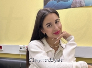 Elwynadryer