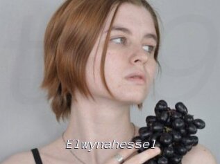 Elwynahessel