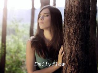 Emilyflow