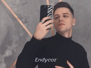 Endycor