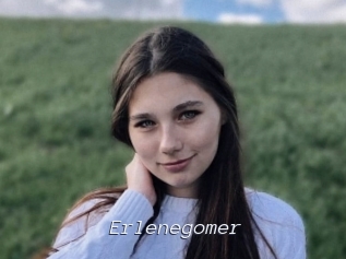 Erlenegomer