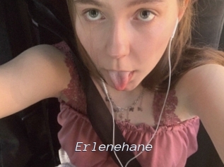 Erlenehane