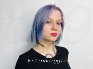 Erlinadiggle