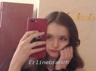Erlinebranch