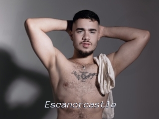 escanorcastle Tel 69 Salopes