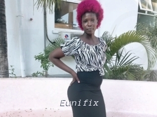 Eunifix