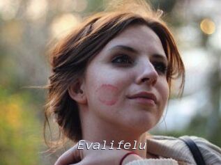 Evalifelu