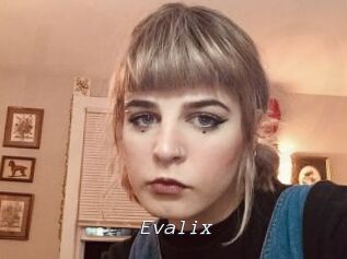 Evalix