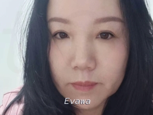 Evawa