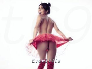 Evawillis