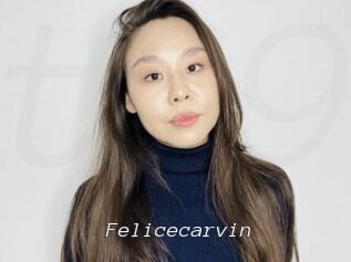 Felicecarvin